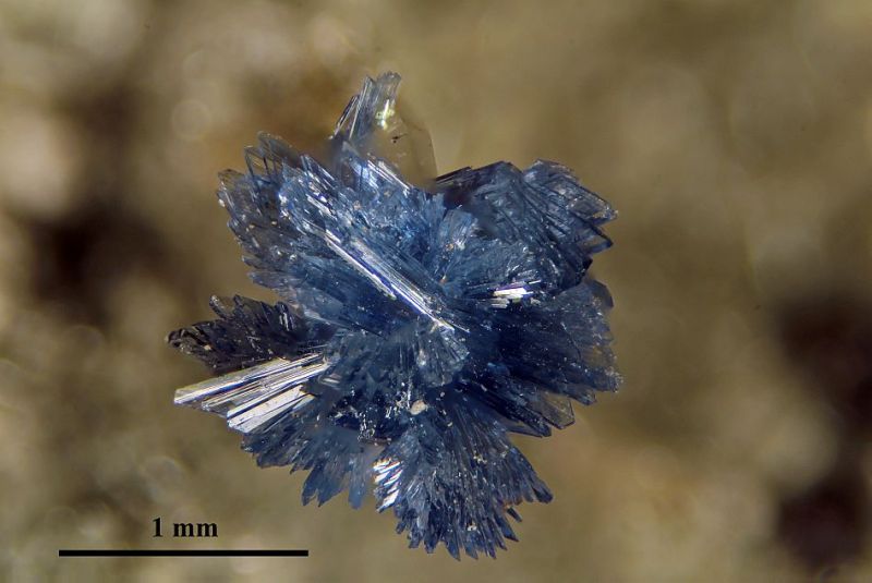 Vaixite from Bolivia