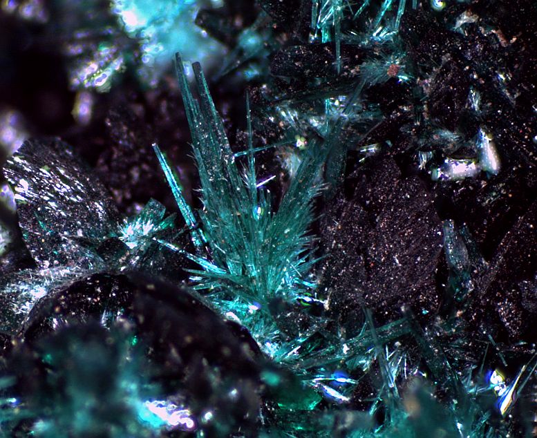 Brochanthite crystals