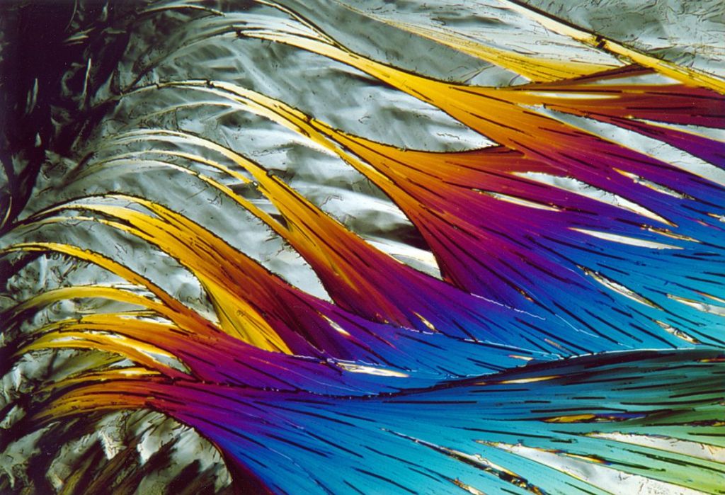 Myristic acid at 100x viewed using cross polarized light