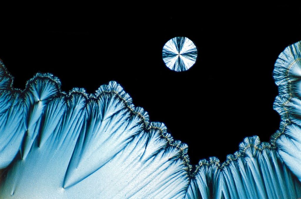 Ascorbic acid at 40x viewed using polarized light