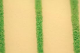 Field of view with 10x objective 105 macro and 2x teleconverter