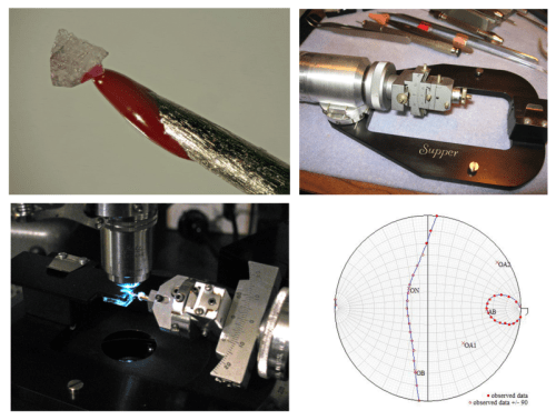 Photo collage of various aspects of spindle stage analysis