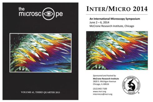 Photos of magazine covers featuring photographs by Julian Gray