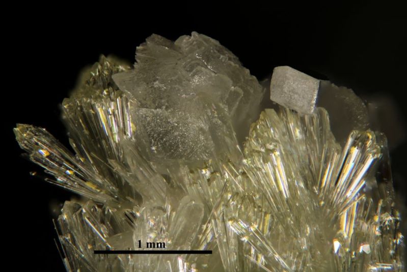 Photograph of calcite on vesuvianite