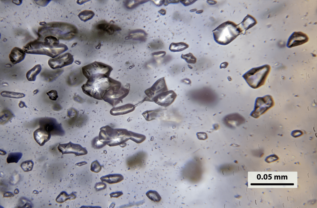 Fluid inclusions in a garnet crystal from Emerald Creek, Idaho