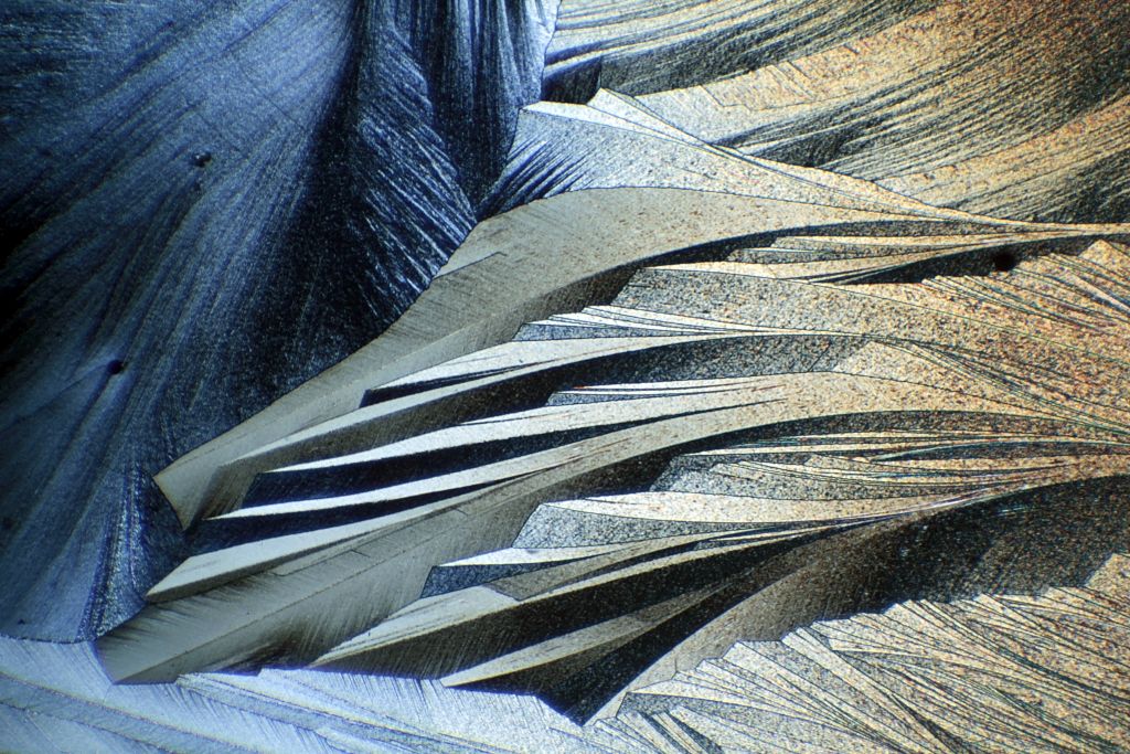 Sulphur crystals viewed in polarized light