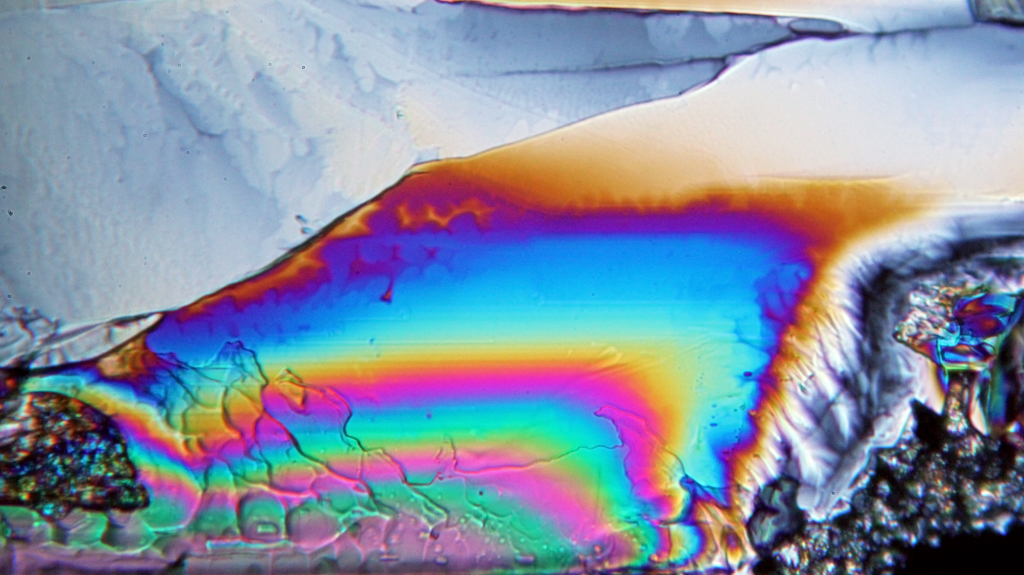 Urea crystals viewed in polarized light